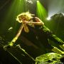 20120526_IMG_9488